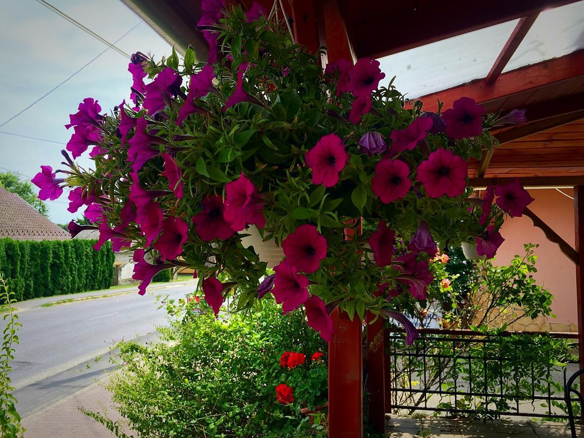 Villa Negra Motel Berzence Dış mekan fotoğraf